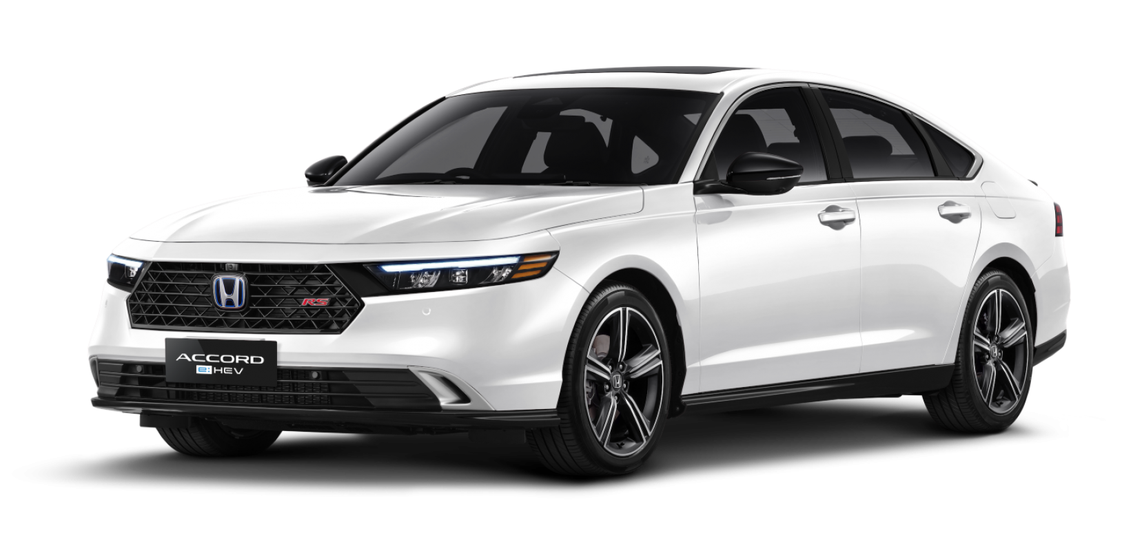 ACCORD_MANDATORY - White